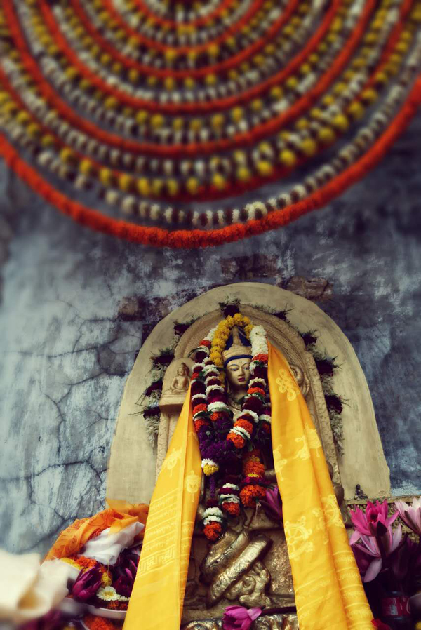 dharma song 4 1