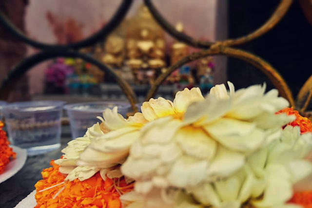 dharma song13 2