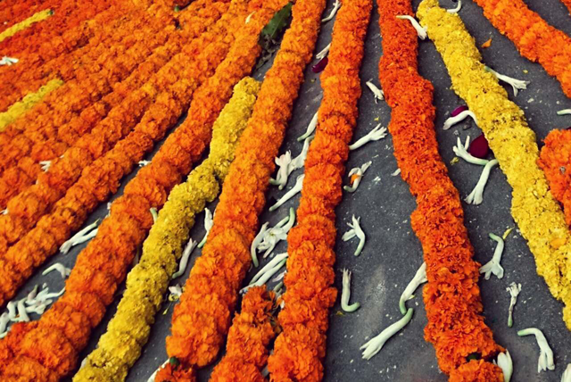 dharma song14 2