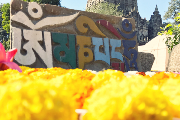 dharma song2 1