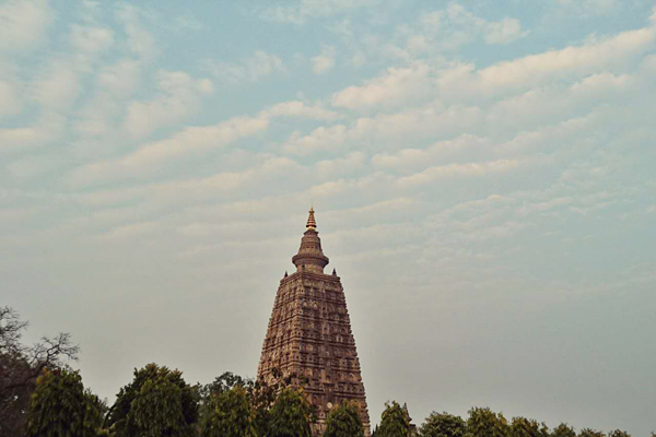 dharma song3 1