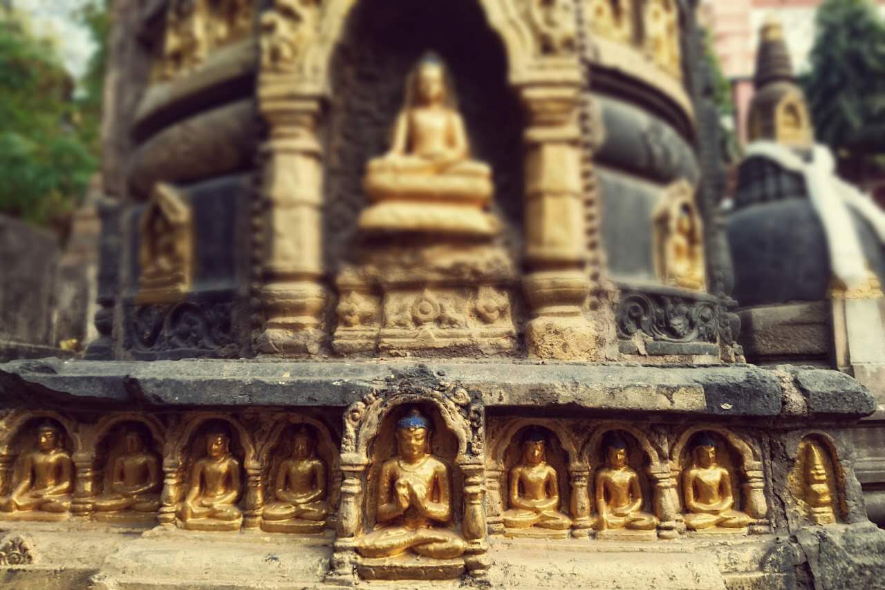 dharma song5 1