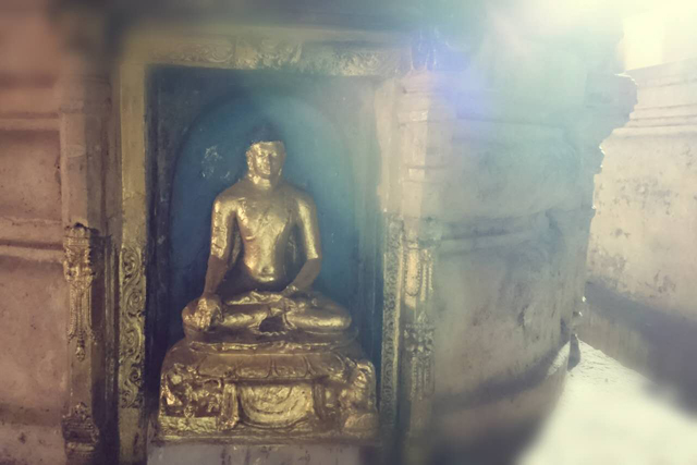 dharma song7 1