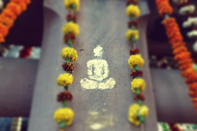 dharma song8 1