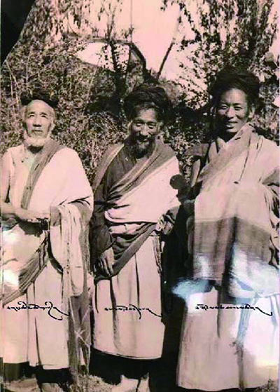 yogi02 1