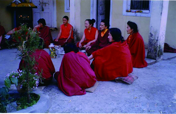 yogi02 6