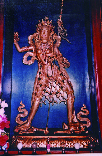 yogi02 7