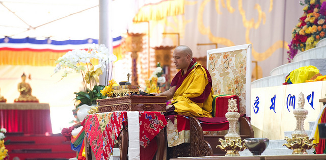 32866381581 b72558657e z