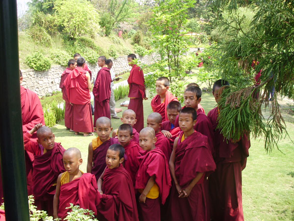 dispensary help20 01