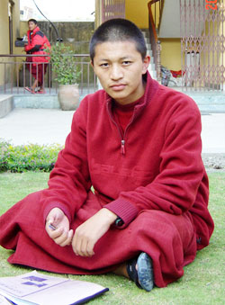 lama daily 02