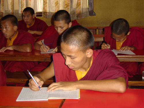 lama daily 03-1