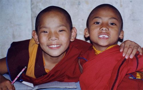 lama s
